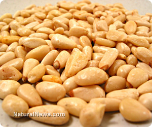 Pine nuts