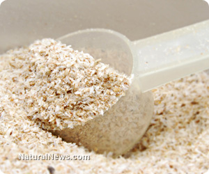 Protein powders