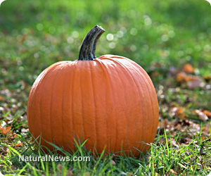 Pumpkin benefits