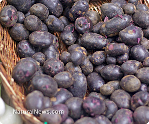 Purple potatoes