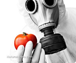 GMO ban