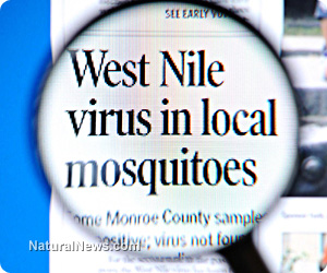 West Nile Virus