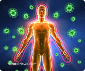 Systemic enzymes