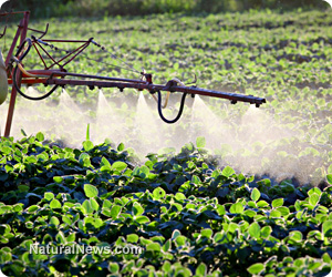 EFSA pesticide panel