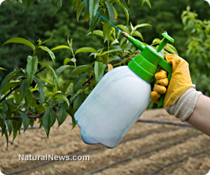 Pesticide exposure