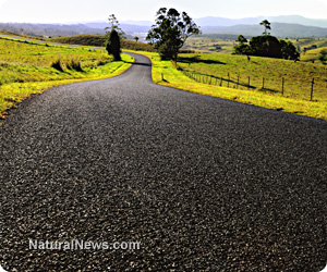 Asphalt sealant