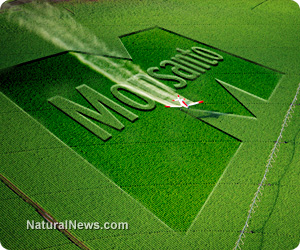 Glyphosate herbicide