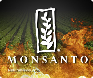 Monsanto pesticides