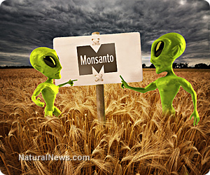 Monsanto