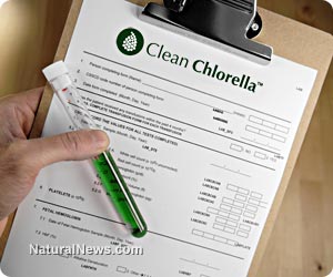 Clean chlorella