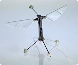 Insect drones