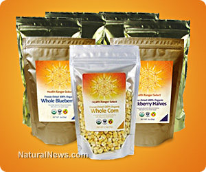 Freeze-dried corn