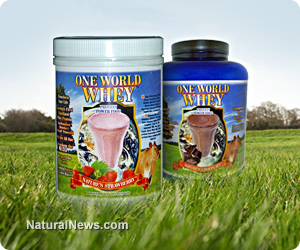 One World Whey