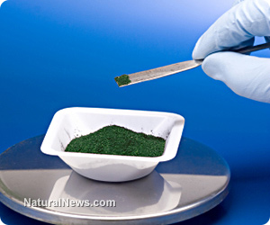 Chlorella