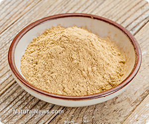 Maca root