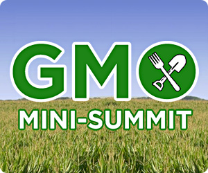 GMO summit