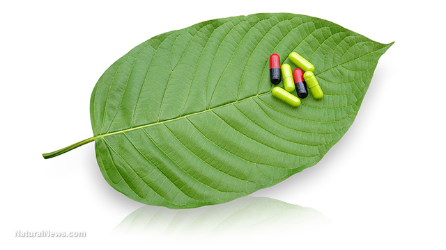 Kratom