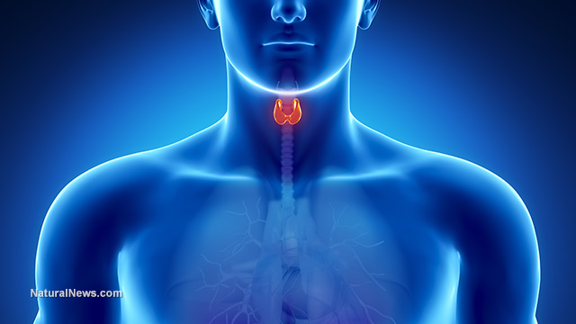 Low thyroid