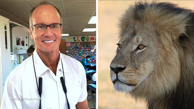 Cecil the Lion