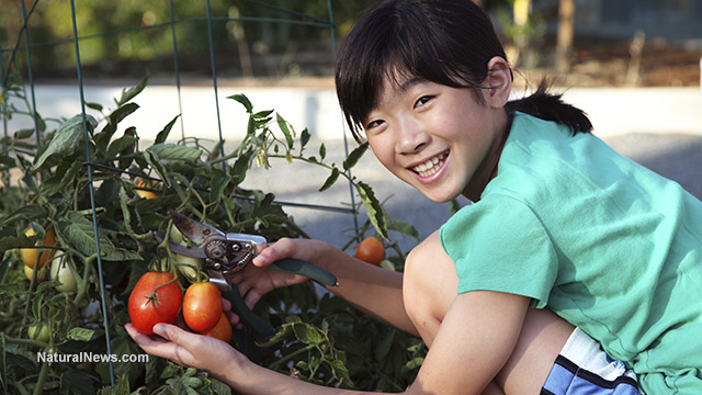 Food self-reliance