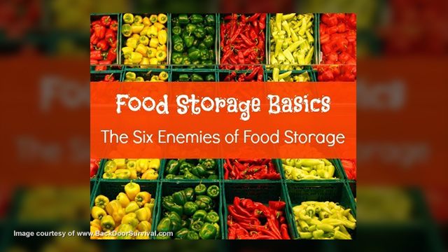 Food storage