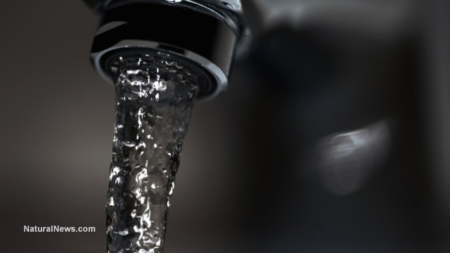 Flint water crisis