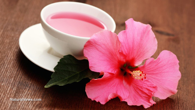 Hibiscus tea