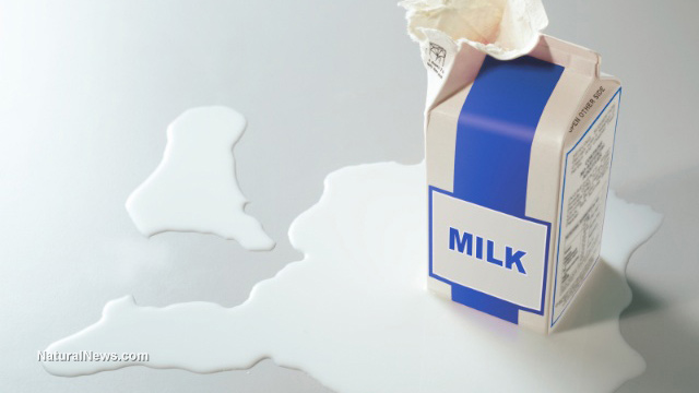 Processed milk