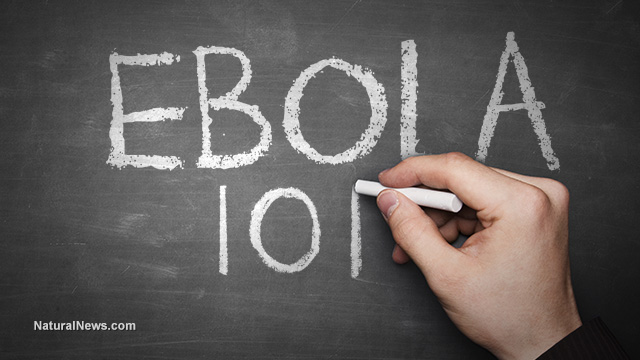 Ebola tests