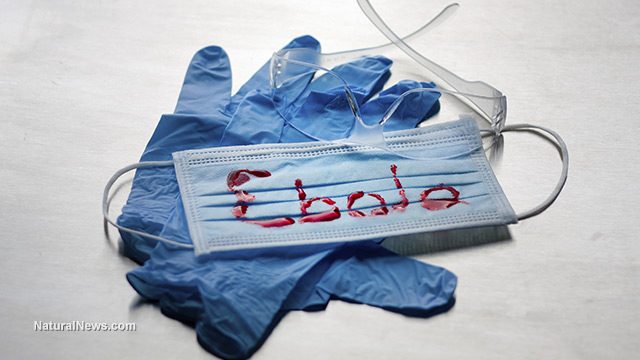 Ebola vaccines