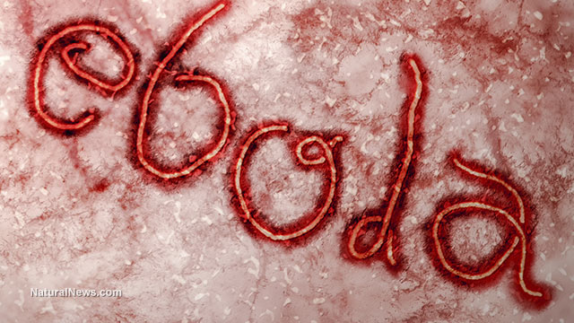 Ebola pandemic
