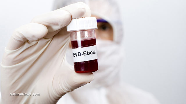 Ebola cases