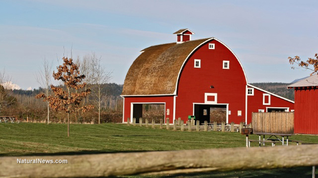 Iowa farmers