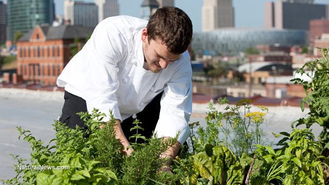 Community gardens