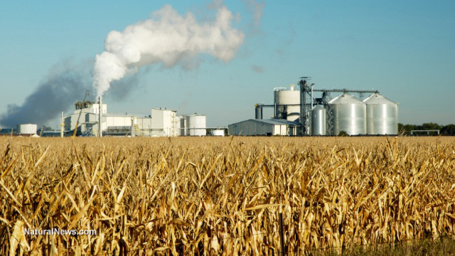 Industrial agriculture