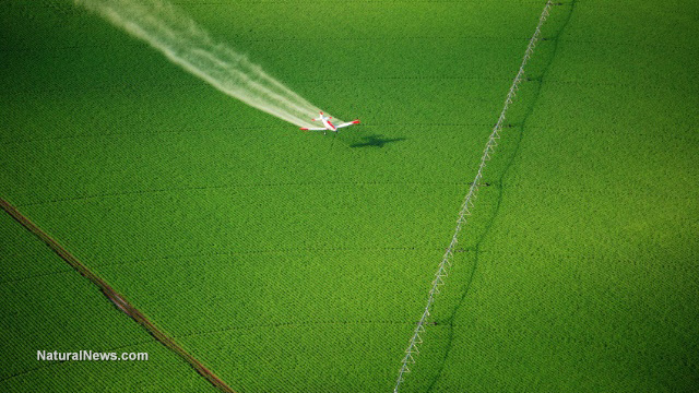 Glyphosate