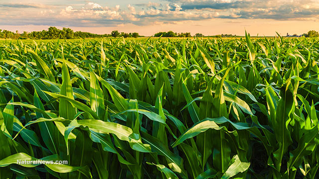 Organic farming