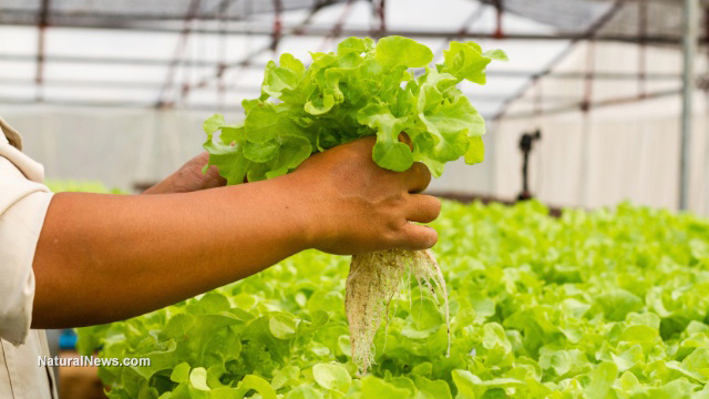 Aquaponics