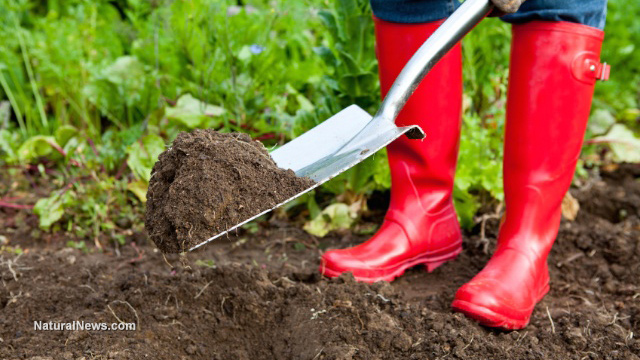 Gardening