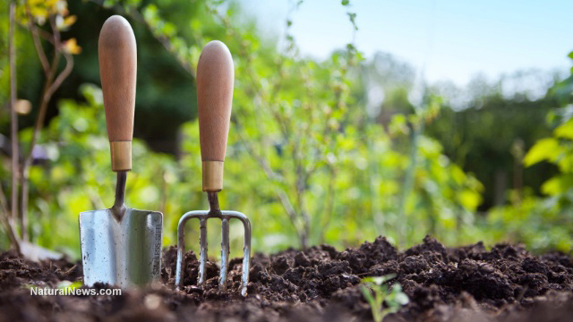 Herb gardening