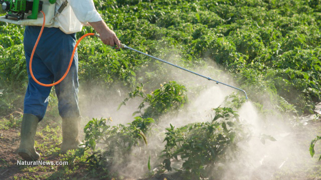 Natural pesticide