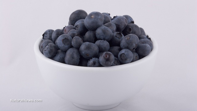 Blueberries