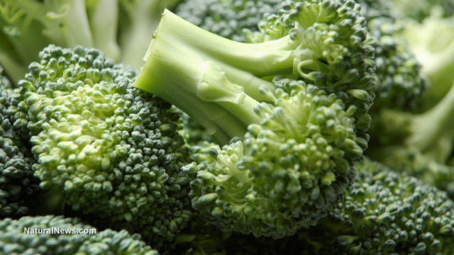 Broccoli nutrients