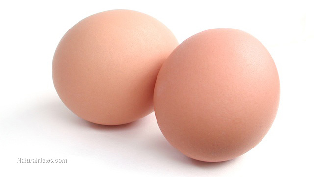 Eggs