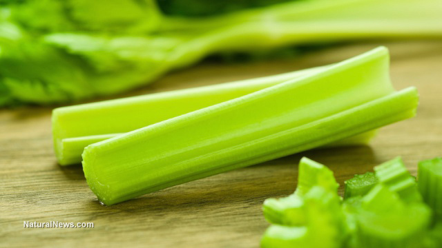 Celery