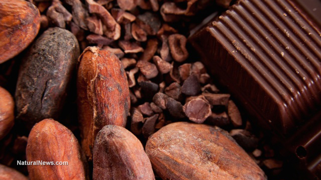 Cacao benefits