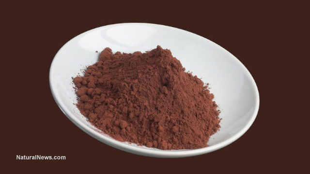 Cocoa flavanols
