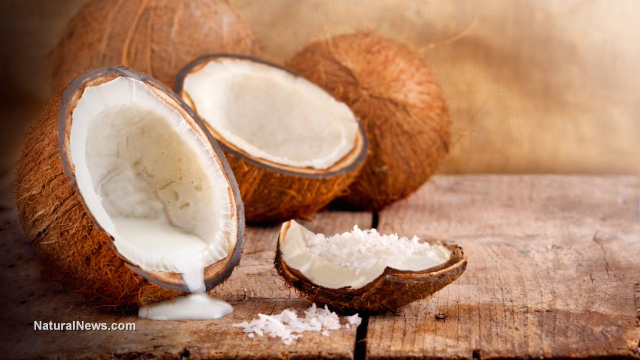 Coconut