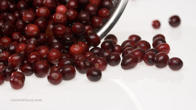 Cranberries