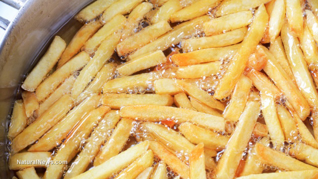 French fries